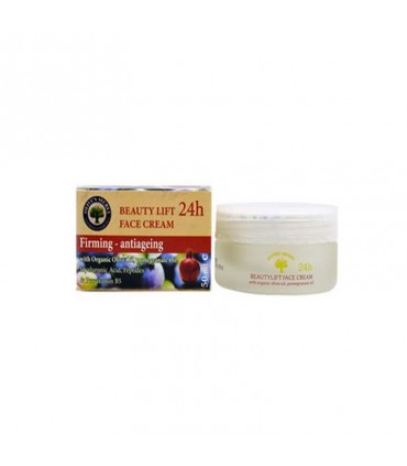 Beautylift Antiageing-Firming Face Cream 24h