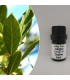 Daphne Essential Oil by Pagaioils 5ml