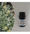 Artemisia-Avistia essential oil 5ml