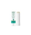 Μoist lip balm with aloe vera - 5.5 g - Kalliston